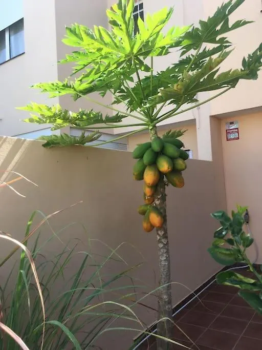 Independiente Estudio En Acogedora Casita De Mai Costa Adeje  Costa Adeje (Tenerife)